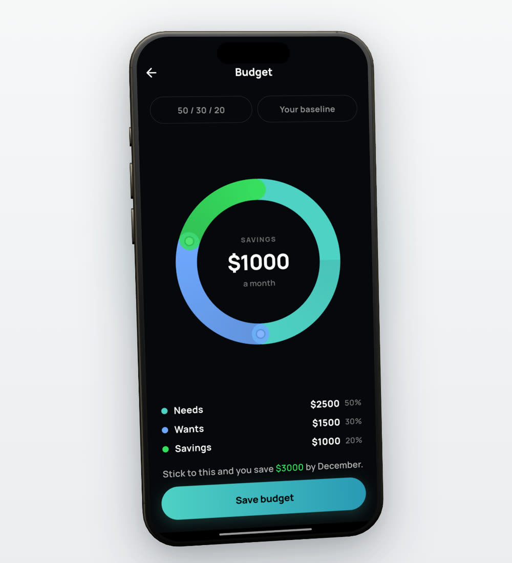 A budget ring split into needs, wants and savings.
